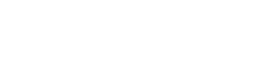 Nayaka Logo